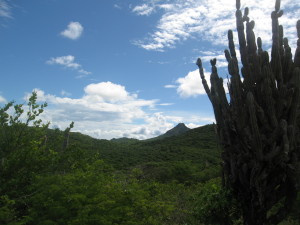 Christoffel Park auf Curacao