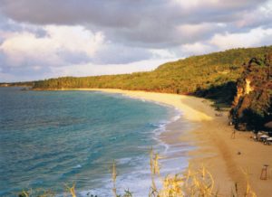 Tropischer Strand - Dominikanische Republik
