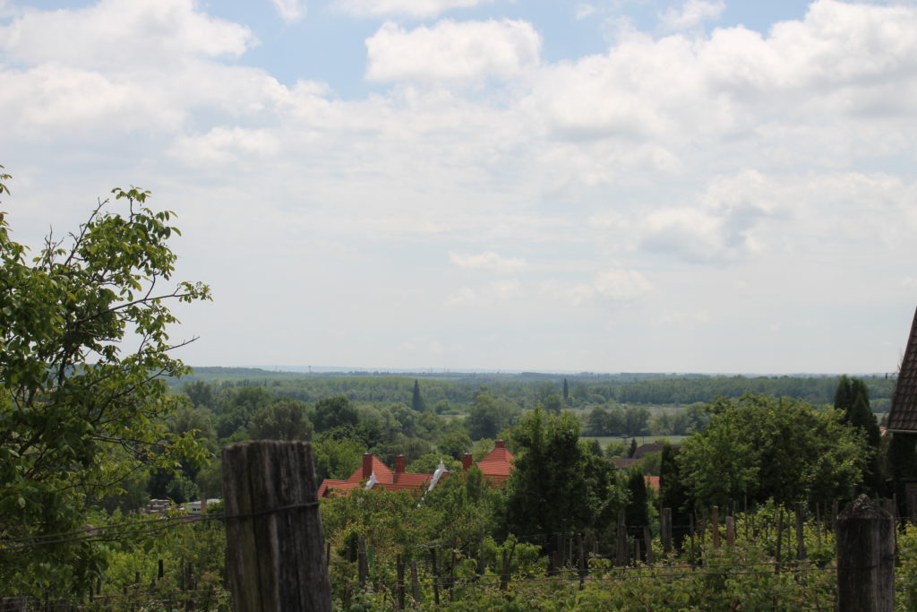 Blick vom Weinberg in Heviz